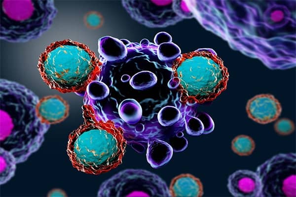 Một trong những tế bào quan trọng của hệ miễn dịch là tế bào bạch cầu